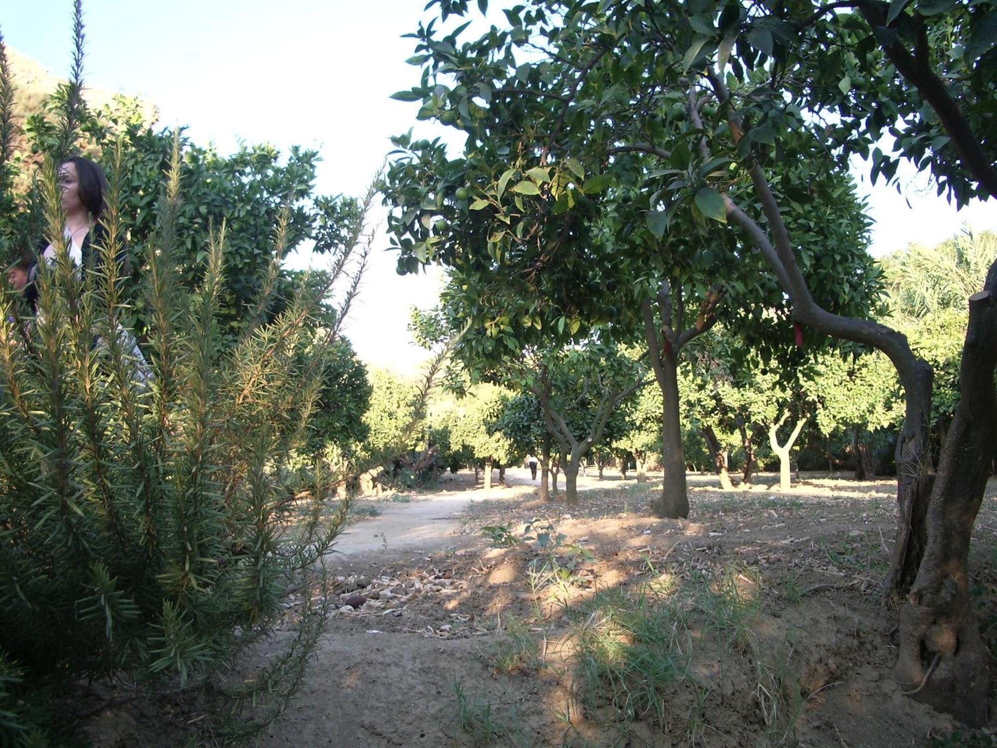 Villa Dei Giardini San Leone Exteriér fotografie